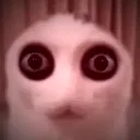 izunatta