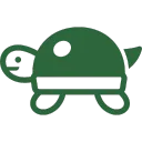 turtle_insect