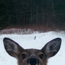 avatar ⭒✧ Mia ✧⭒