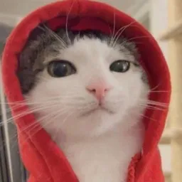 Silver's Avatar