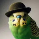 canary751