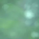 diemildefreude
