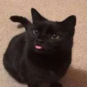 thekitzzz00