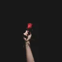 mrgoy10