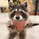 kkkezya