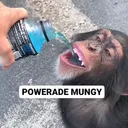 powerademungy