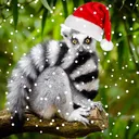 natlemur