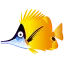 4144