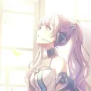 driedflowers__
