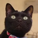 kurochaaaa