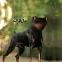 droghead