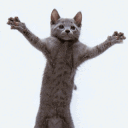 dreamuwu7