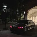 .vossen