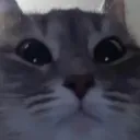 Аватар artadik9999