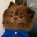 nexodacimal