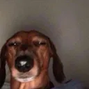 bmbobby420