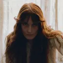 discofeverish