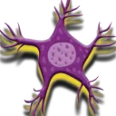 neuroticr