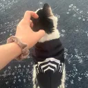 flurfy