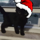 avatar 🚬🚬🚬🚬🚬🚬🚬🚬🚬🚬🚬🚬🚬🚬🚬🚬