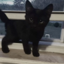 avatar 🚬🚬🚬🚬🚬🚬🚬🚬🚬🚬🚬🚬🚬🚬🚬🚬