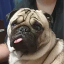 dexlol