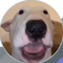 tytyi