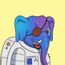 devlinkong
