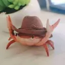caranguejoxd