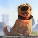 mr.guimple
