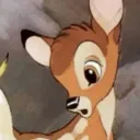 puppychao