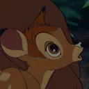 puppychao