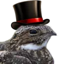 xdnighthawkxd