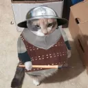give_it_a_go