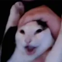 taekan