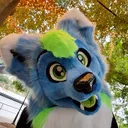 zephyrwusky