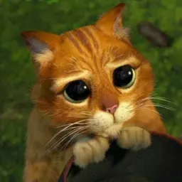 elouan__'s avatar