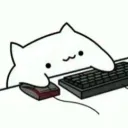 noobneko