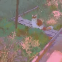 destiny_osu