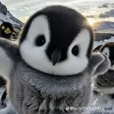 gamgamthecold