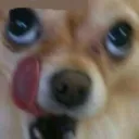 fuckxnstxtxn3545