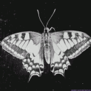 noxlumina