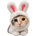 tampotato
