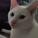 bunsheee