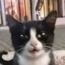 oscidod