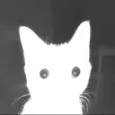 hellolynni3