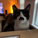 Bryan