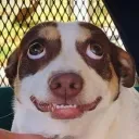 babuz420