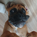 jawor_b#2558's avatar