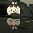ninjaboypt